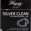 Hagerty Silver Clean - Professional 170 Ml -Thuis Winkel 1001x1200 2