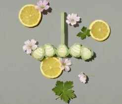 Marcel's Green Soap Toiletblok Geranium & Citroen - 55 Gram 11 Marcel's Green Soap Toiletblok Geranium & Citroen - 55 Gram -Thuis Winkel 1200x1023