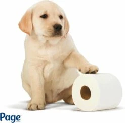 Page Toiletpapier - Eco - Duurzaam - 24 Rollen - Voordeelverpakking -Thuis Winkel 1200x1186 2