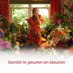 Robijn Klein & Krachtig Rosé Chique Vloeibaar Wasmiddel - 8 X 19 Wasbeurten - Voordeelverpakking -Thuis Winkel 1200x1200 28