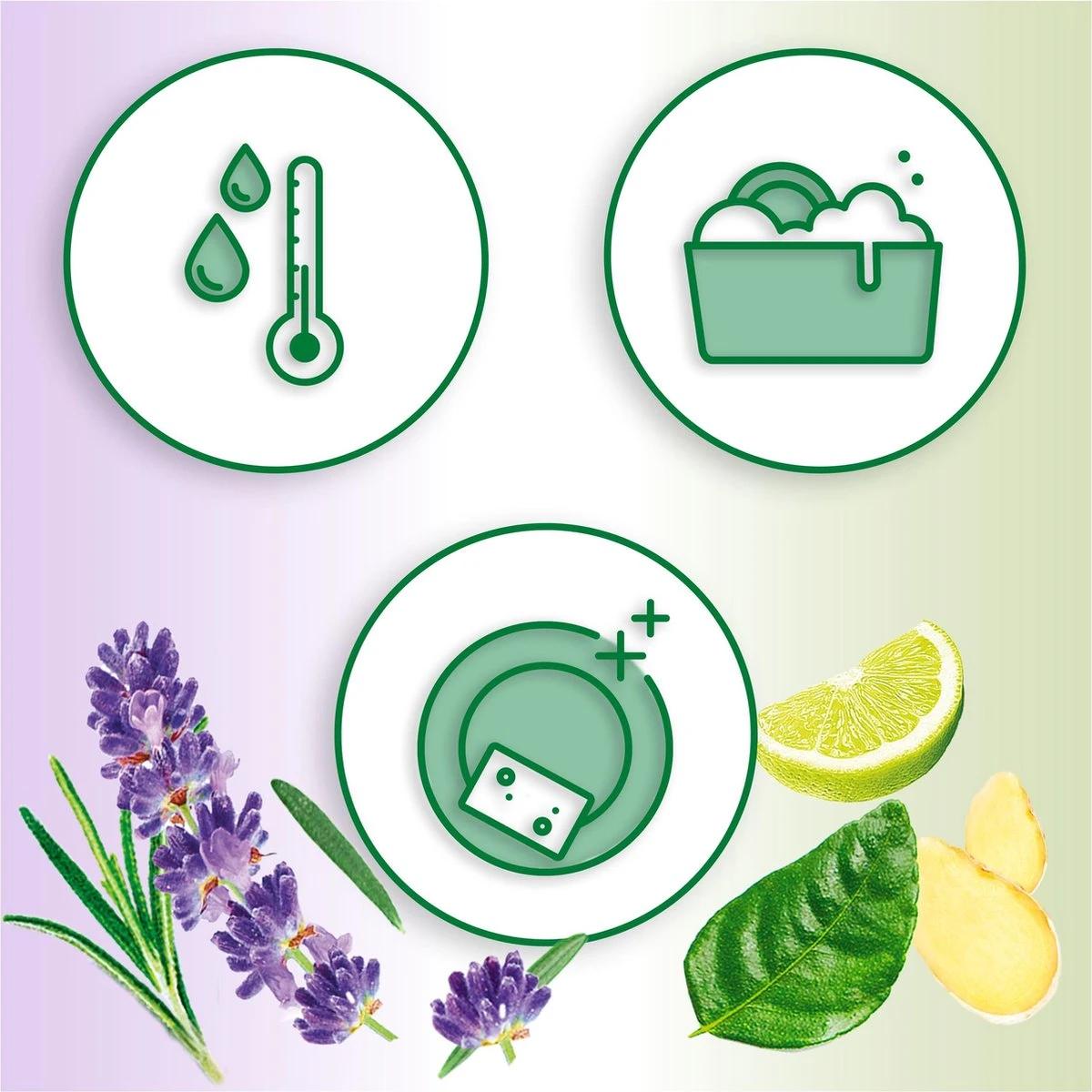 Dreft Naturals Lavender & Rosemary Afwasmiddel - Voordeelverpakking 10x450ml 5 Dreft Naturals Lavender & Rosemary Afwasmiddel - Voordeelverpakking 10x450ml - Afbeelding 3