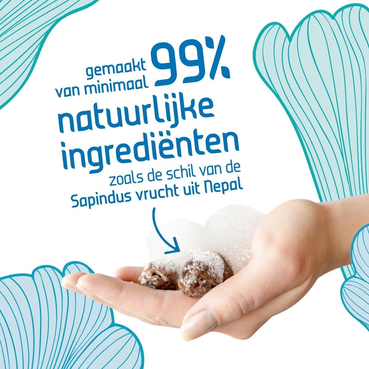 Seepje Zeepvariatie - Hand- En Lichaamszeep - Waszeep - Afwaszeep - Natuurlijke Ingredienten - 0% Plastic 6 Seepje Zeepvariatie - Hand- En Lichaamszeep - Waszeep - Afwaszeep - Natuurlijke Ingredienten - 0% Plastic - Afbeelding 4
