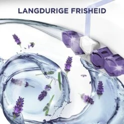 Glorix Power 5 Toiletblokken - Lavendel - 9 Stuks - Voordeelverpakking 15 Glorix Power 5 Toiletblokken - Lavendel - 9 Stuks - Voordeelverpakking -Thuis Winkel 1200x1200 907