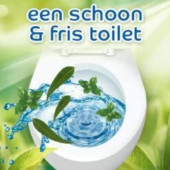 Witte Reus Pro Nature Munt Eucalyptus - 10 Stuks -Thuis Winkel 1200x1200 966