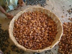 Wasnoten 750gr Met Waszakje - Zeepnoten - Natuurlijk Wassen 14 Wasnoten 750gr Met Waszakje - Zeepnoten - Natuurlijk Wassen -Thuis Winkel 1200x900