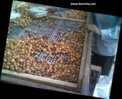 Wasnoten 750gr Met Waszakje - Zeepnoten - Natuurlijk Wassen 15 Wasnoten 750gr Met Waszakje - Zeepnoten - Natuurlijk Wassen -Thuis Winkel 1200x973