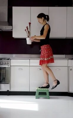 PUHLMANN - Inklapbare Kruk, JAMES, Plastic, Groen, 22 Cm Hoog, Max 100kilo 14 PUHLMANN - Inklapbare Kruk, JAMES, Plastic, Groen, 22 Cm Hoog, Max 100kilo -Thuis Winkel 746x1200 1