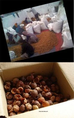 Wasnoten 750gr Met Waszakje - Zeepnoten - Natuurlijk Wassen 12 Wasnoten 750gr Met Waszakje - Zeepnoten - Natuurlijk Wassen -Thuis Winkel 755x1200